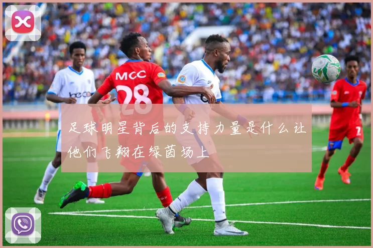 足球明星背后的支持力量是什么让他们飞翔在绿茵场上