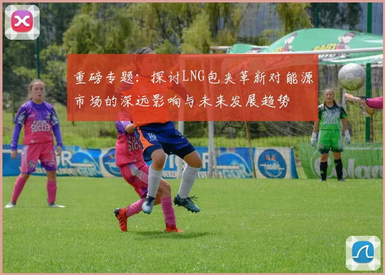 重磅专题：探讨LNG包夹革新对能源市场的深远影响与未来发展趋势