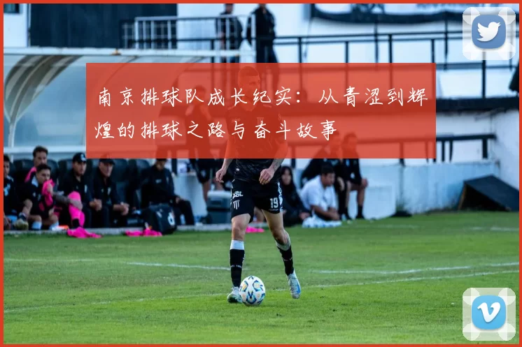 南京排球队成长纪实：从青涩到辉煌的排球之路与奋斗故事
