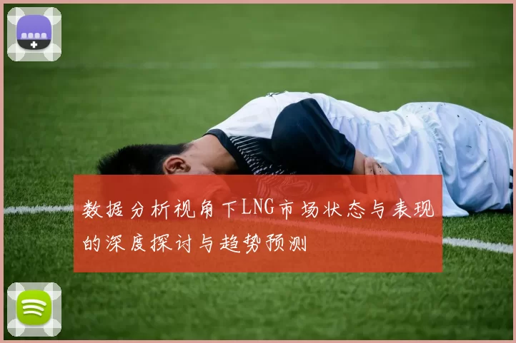 数据分析视角下LNG市场状态与表现的深度探讨与趋势预测