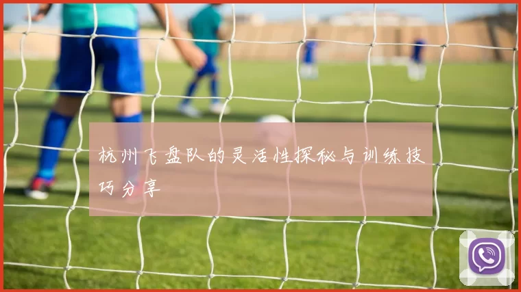 杭州飞盘队的灵活性探秘与训练技巧分享