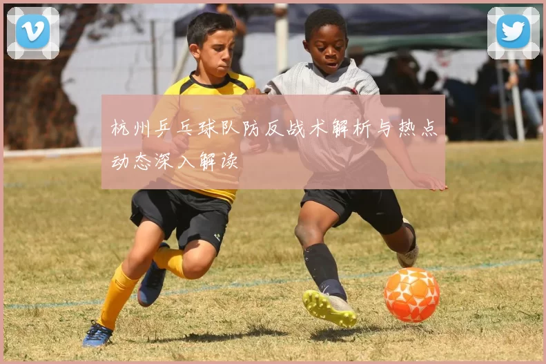 杭州乒乓球队防反战术解析与热点动态深入解读