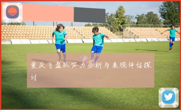 重庆飞盘队实力分析与表现评估探讨
