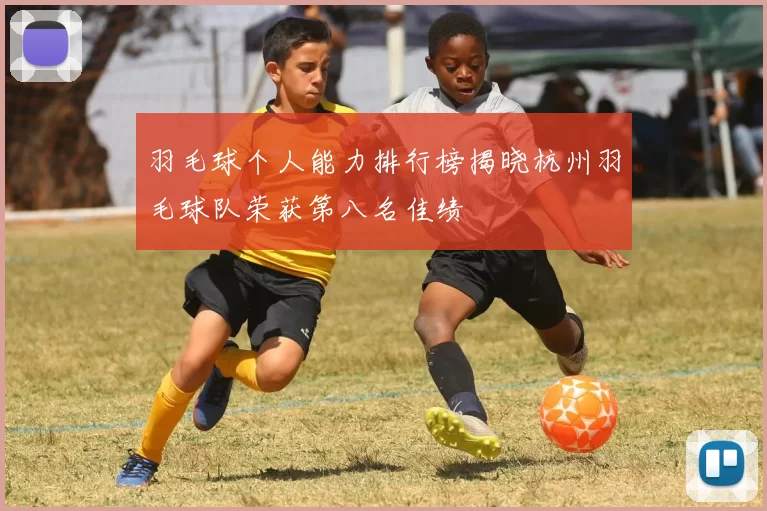 羽毛球个人能力排行榜揭晓杭州羽毛球队荣获第八名佳绩