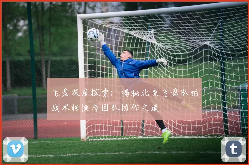 飞盘深度探索：揭秘北京飞盘队的战术转换与团队协作之道