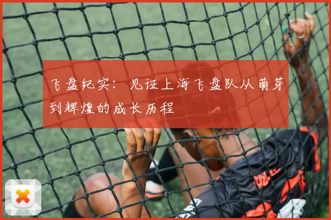 飞盘纪实：见证上海飞盘队从萌芽到辉煌的成长历程