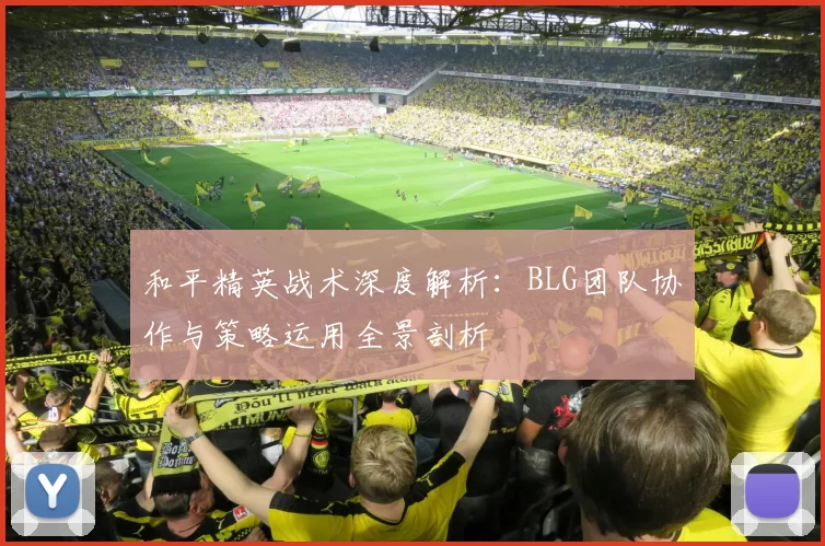 和平精英战术深度解析：BLG团队协作与策略运用全景剖析