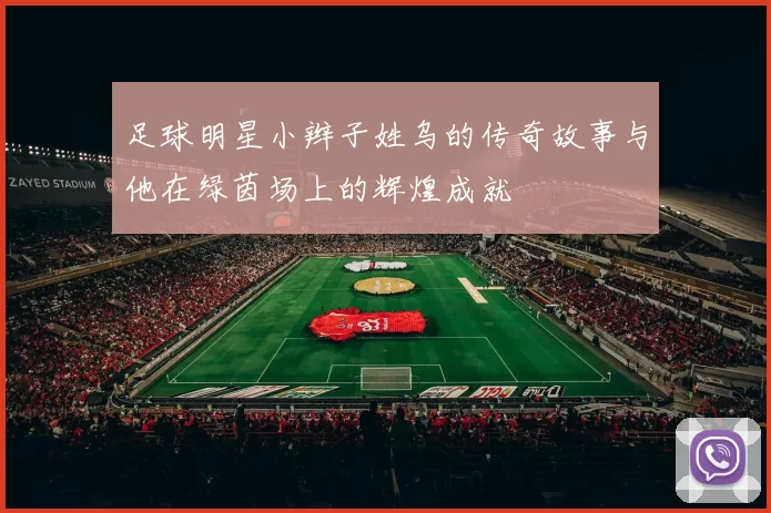 足球明星小辫子姓乌的传奇故事与他在绿茵场上的辉煌成就