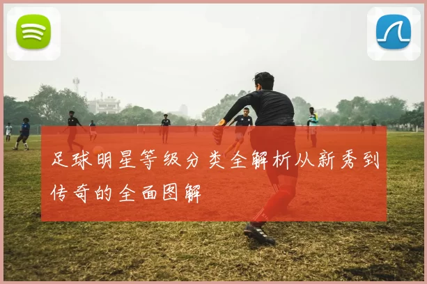 足球明星等级分类全解析从新秀到传奇的全面图解