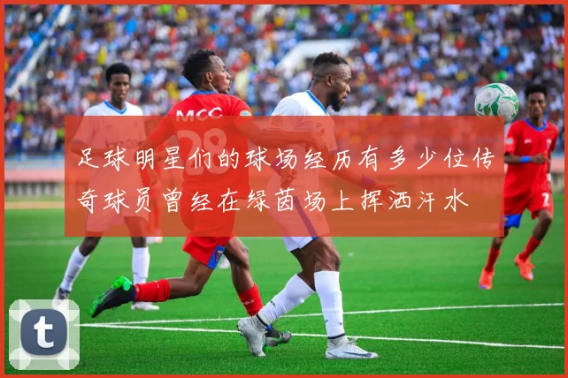 足球明星们的球场经历有多少位传奇球员曾经在绿茵场上挥洒汗水
