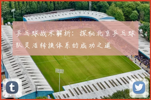 乒乓球战术解析：探秘北京乒乓球队灵活转换体系的成功之道
