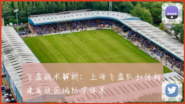 飞盘战术解析：上海飞盘队如何构建高效区域防守体系