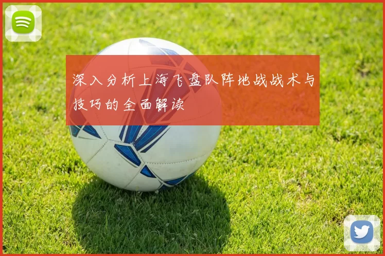 深入分析上海飞盘队阵地战战术与技巧的全面解读