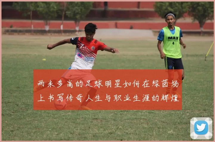 两米多高的足球明星如何在绿茵场上书写传奇人生与职业生涯的辉煌篇章