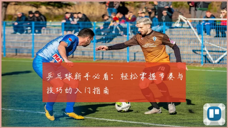 乒乓球新手必看：轻松掌握节奏与技巧的入门指南