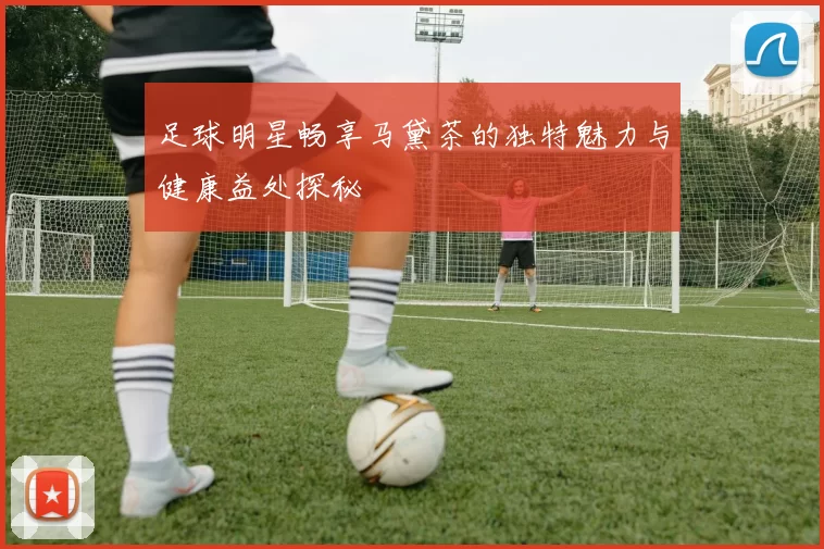 足球明星畅享马黛茶的独特魅力与健康益处探秘