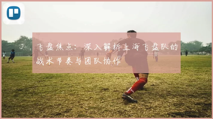 飞盘焦点：深入解析上海飞盘队的战术节奏与团队协作