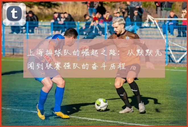 上海排球队的崛起之路：从默默无闻到联赛强队的奋斗历程