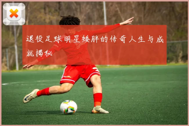 退役足球明星矮胖的传奇人生与成就揭秘